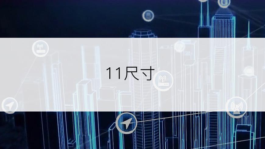 11尺寸