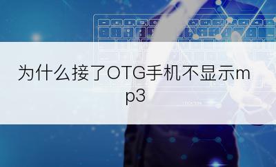 为什么接了OTG手机不显示mp3