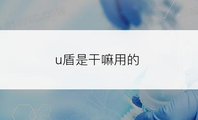 u盾是干嘛用的