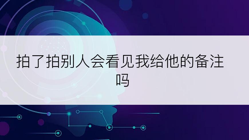 拍了拍别人会看见我给他的备注吗