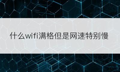 什么wifi满格但是网速特别慢