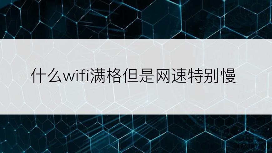 什么wifi满格但是网速特别慢