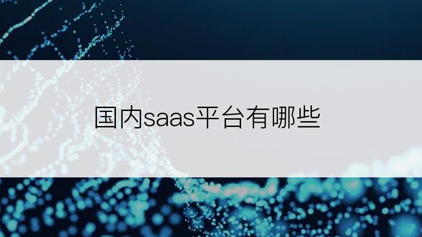 国内saas平台有哪些