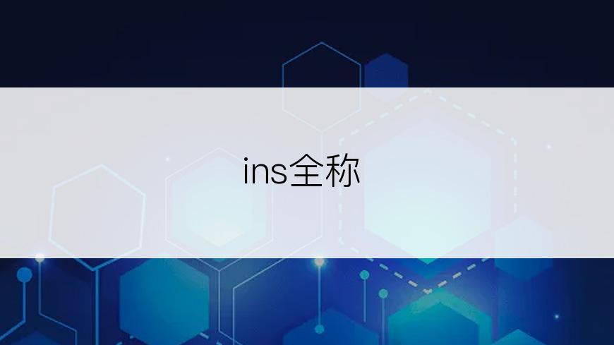 ins全称