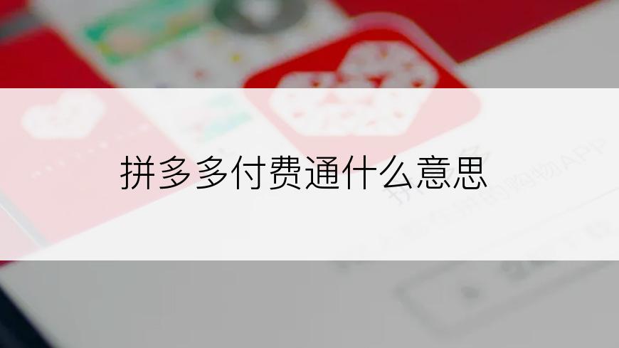 拼多多付费通什么意思