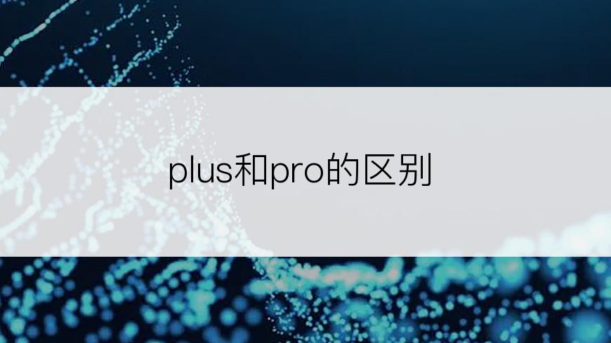 plus和pro的区别