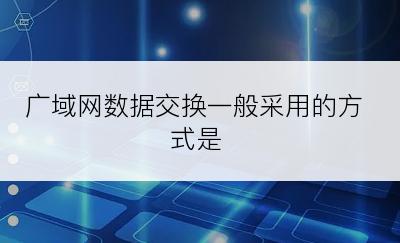 广域网数据交换一般采用的方式是