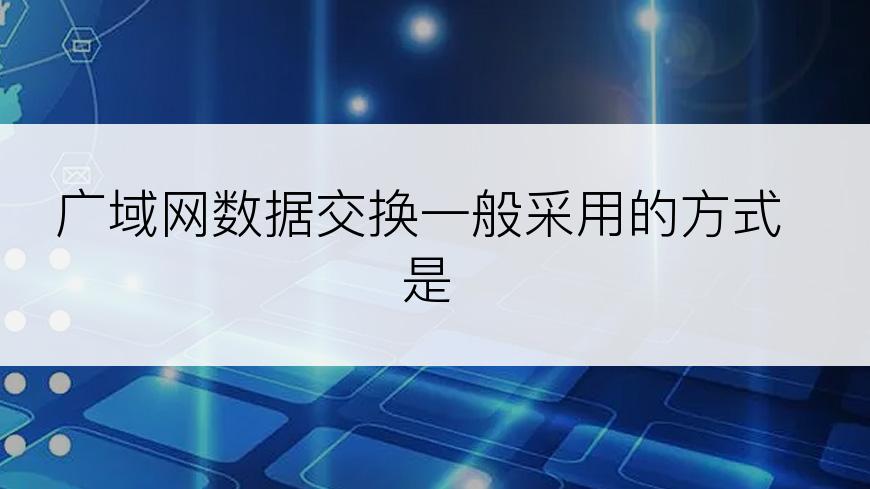 广域网数据交换一般采用的方式是