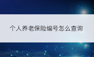 个人养老保险编号怎么查询