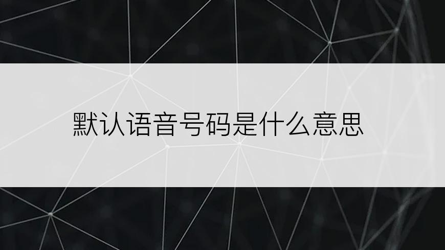 默认语音号码是什么意思