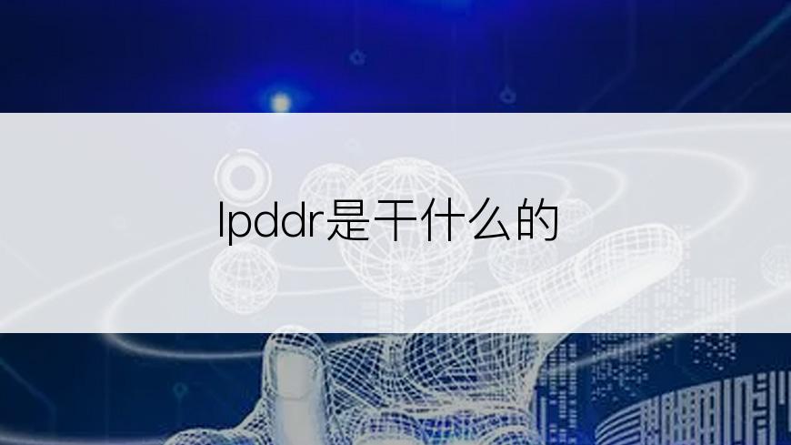 lpddr是干什么的