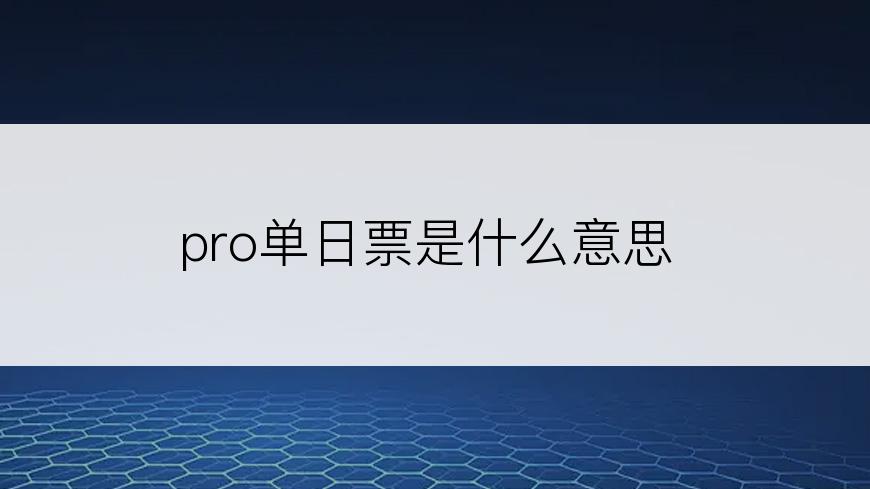 pro单日票是什么意思