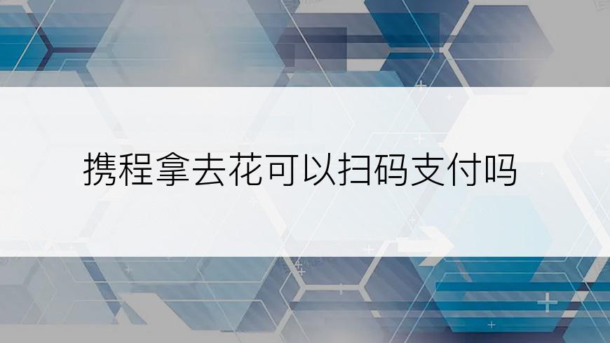 携程拿去花可以扫码支付吗