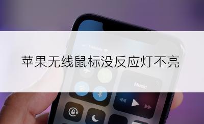 苹果无线鼠标没反应灯不亮