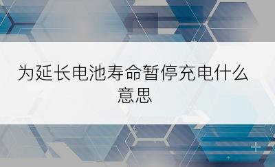 为延长电池寿命暂停充电什么意思