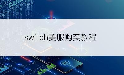 switch美服购买教程