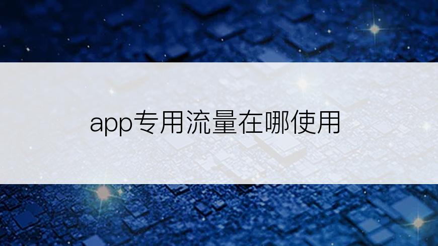 app专用流量在哪使用