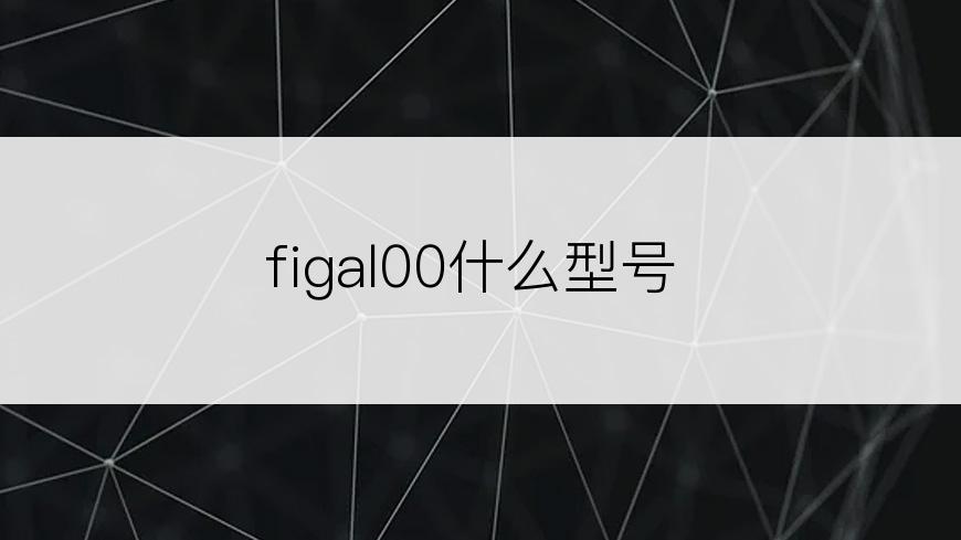 figal00什么型号