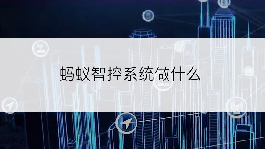 蚂蚁智控系统做什么