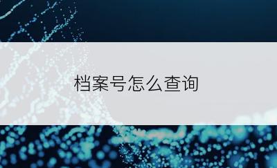 档案号怎么查询