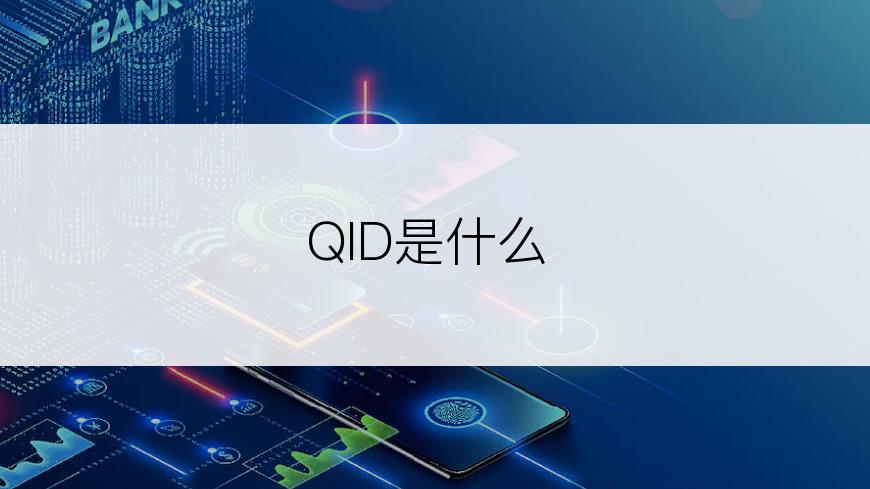 QID是什么