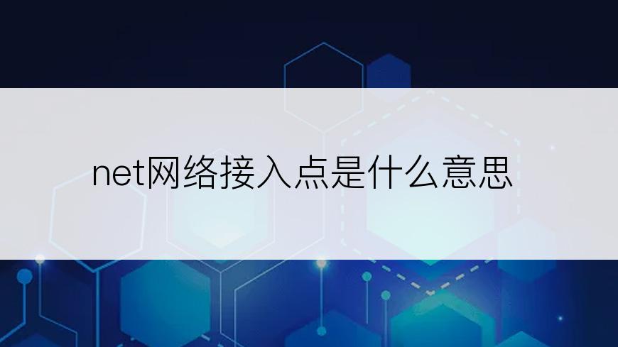 net网络接入点是什么意思