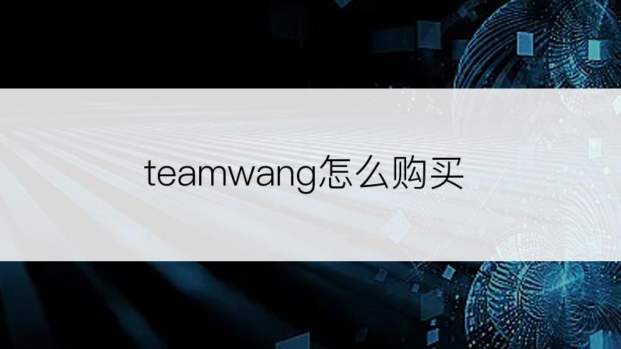 teamwang怎么购买