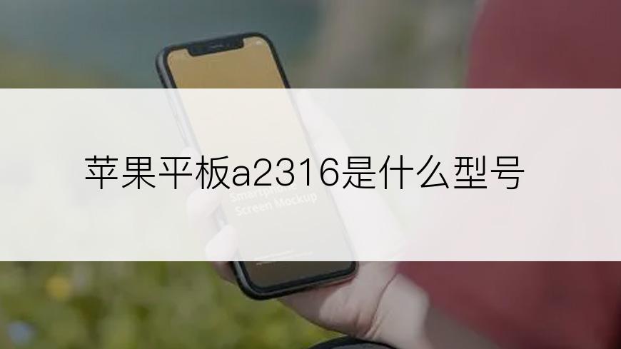 苹果平板a2316是什么型号