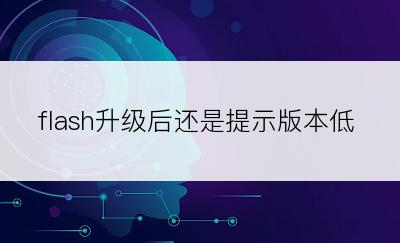 flash升级后还是提示版本低