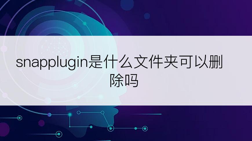 snapplugin是什么文件夹可以删除吗