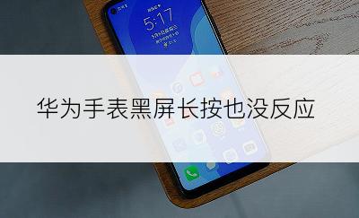 华为手表黑屏长按也没反应