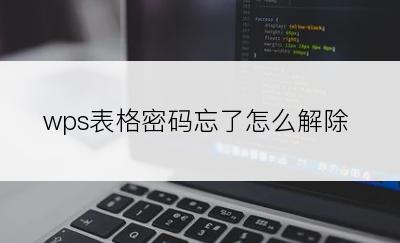 wps表格密码忘了怎么解除