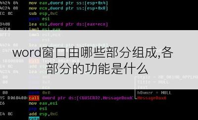 word窗口由哪些部分组成,各部分的功能是什么