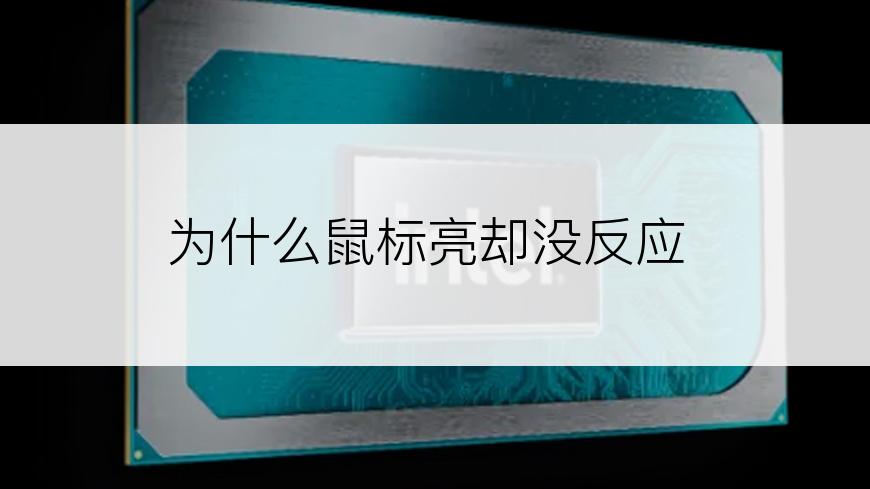 为什么鼠标亮却没反应