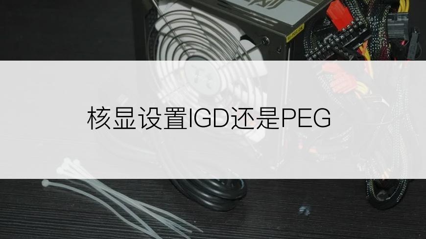 核显设置IGD还是PEG