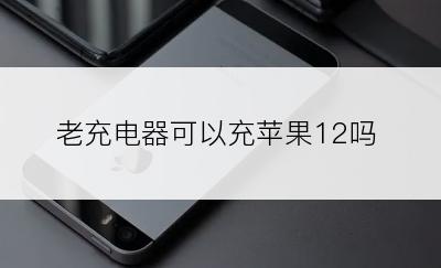 老充电器可以充苹果12吗