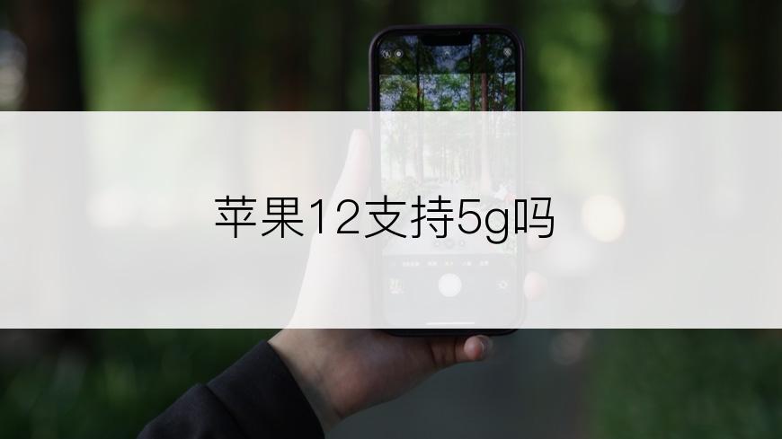 苹果12支持5g吗