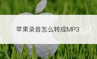 苹果录音怎么转成MP3