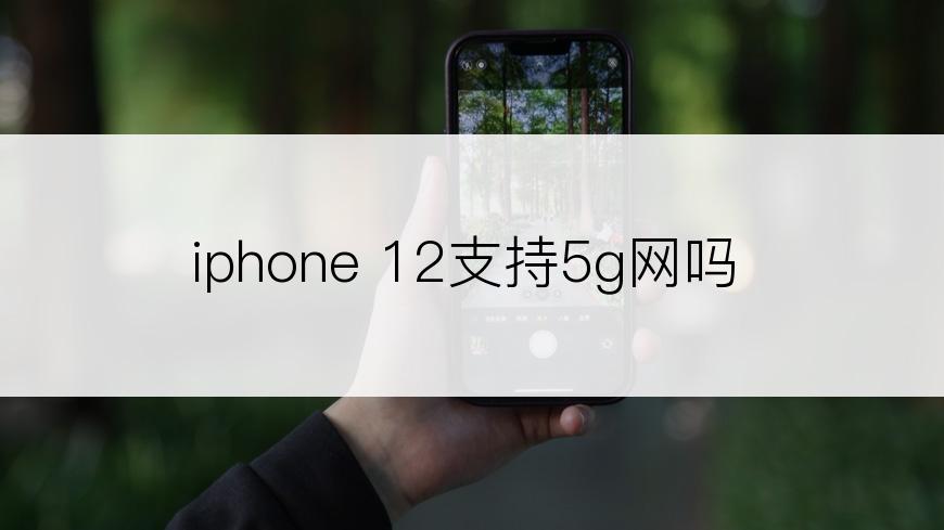 iphone 12支持5g网吗