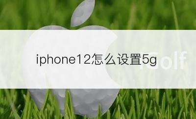 iphone12怎么设置5g