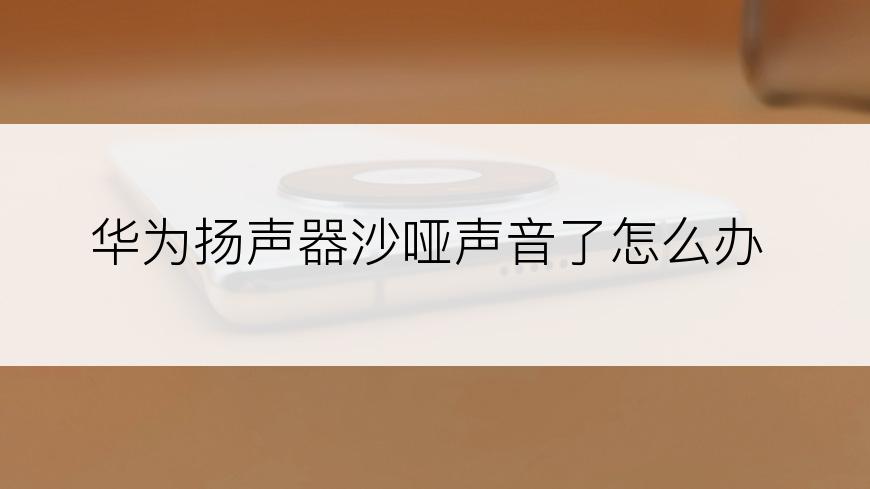 华为扬声器沙哑声音了怎么办