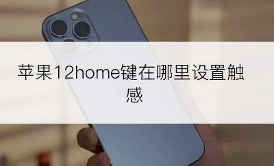 苹果12home键在哪里设置触感