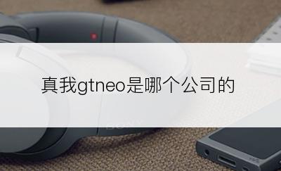 真我gtneo是哪个公司的