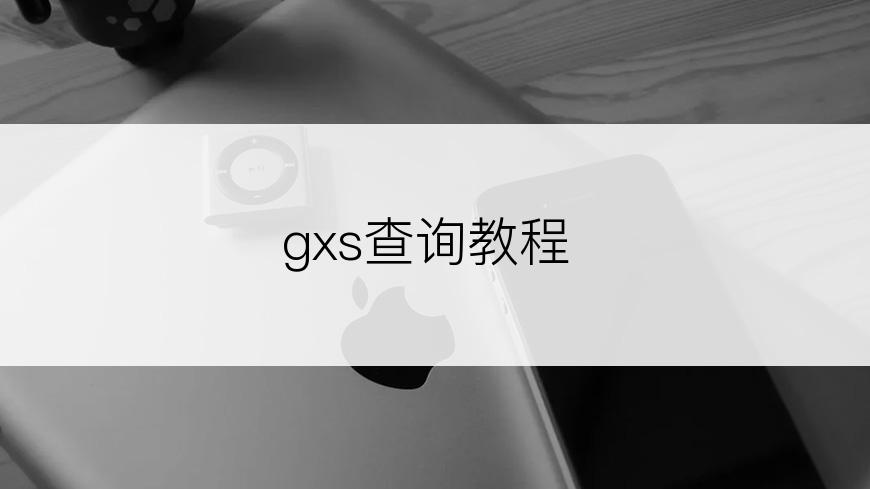 gxs查询教程