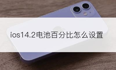 ios14.2电池百分比怎么设置