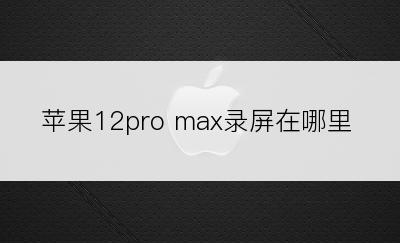 苹果12pro max录屏在哪里