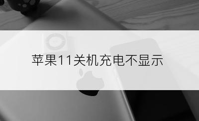 苹果11关机充电不显示