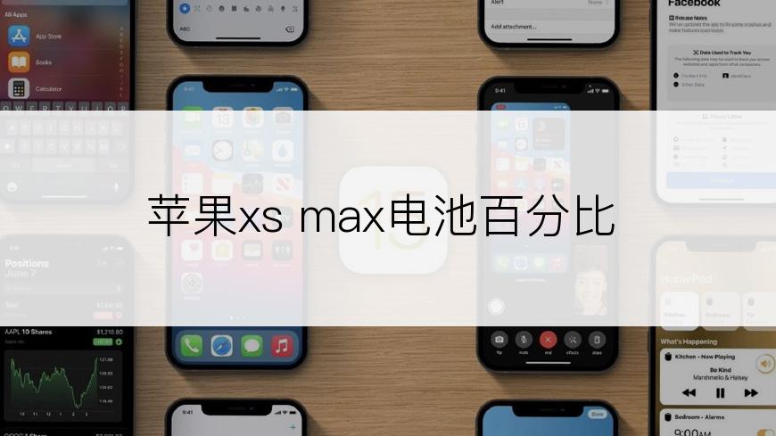 苹果xs max电池百分比