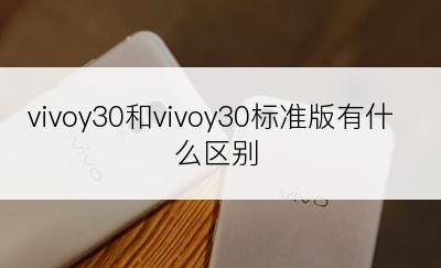 vivoy30和vivoy30标准版有什么区别