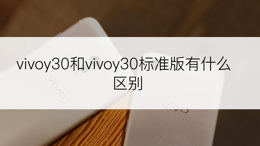 vivoy30和vivoy30标准版有什么区别